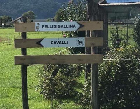 5_cartellonistica_ 19.6.23