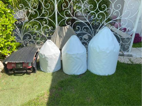 8_cappuccio_ 22.6.23